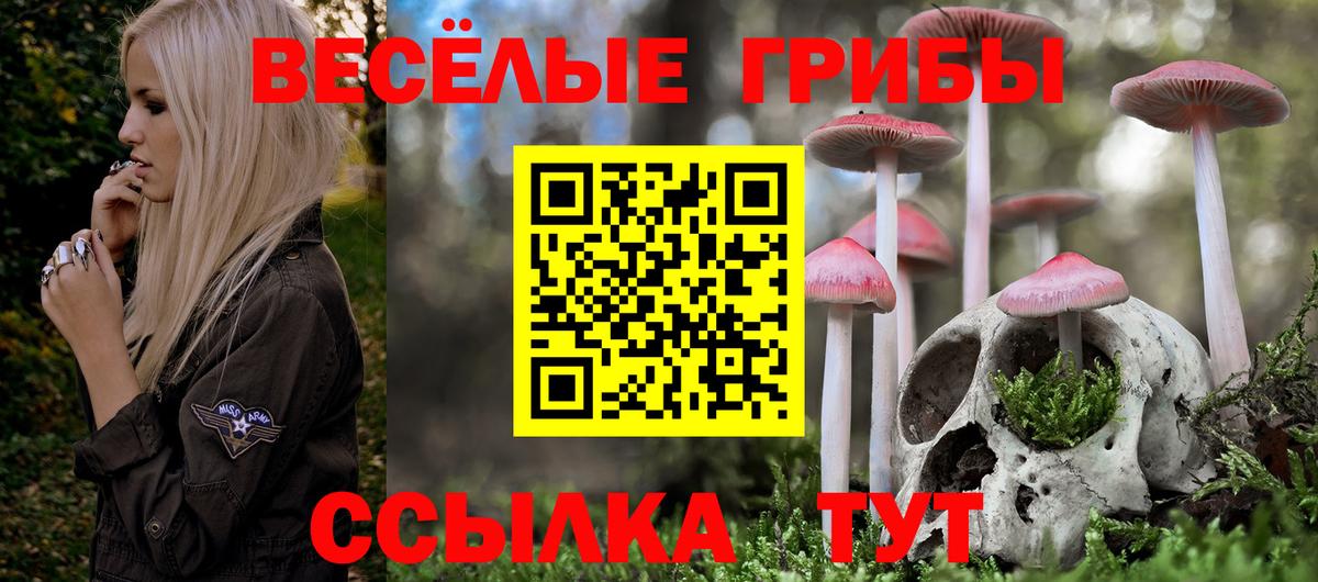 Псилоцибиновые грибы Cubensis Серпухов