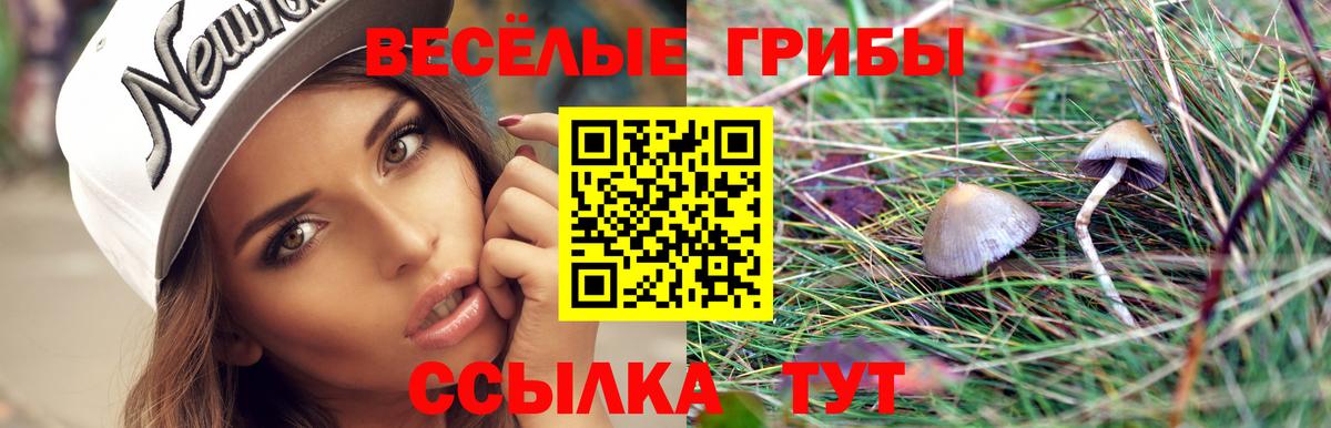 Серпухов  Галлюциногенные грибы GOLDEN TEACHER  Вход с VPN 